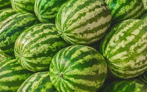 吃瓜网 吃瓜爆料短剧吃瓜爆料大赛每日聚集地,揭秘“吃瓜爆料短剧大赛”，每日热点聚集地