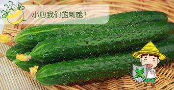 带你吃瓜 吃瓜网官网,揭秘吃瓜网官网精彩内容