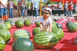 吃瓜每日大赛 吃瓜51在线黑料9,51在线黑料9背后的惊人真相